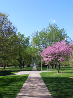 The Tower Trail surrounds the University Bell Tower, the oldest section of the Northwest campus. The trail begins east of Roberta Hall and contains 32 species.