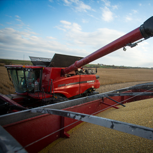 Agricultural Sciences