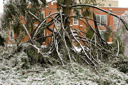 2007 Ice Storm at Northwest 1