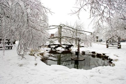 2007 Ice Storm at Northwest 4