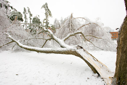 2007 Ice Storm at Northwest 14