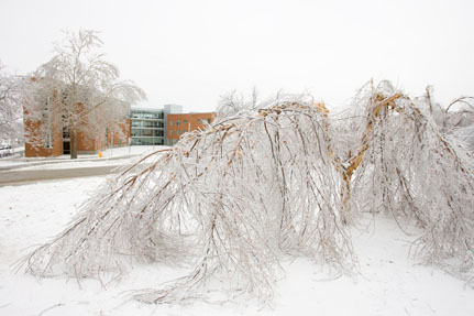 2007 Ice Storm at Northwest 15