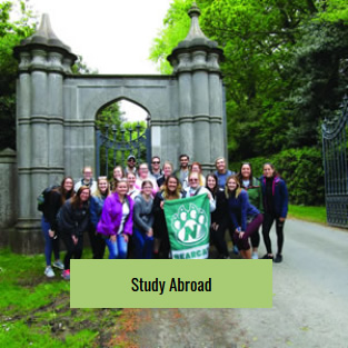 Study Abroad