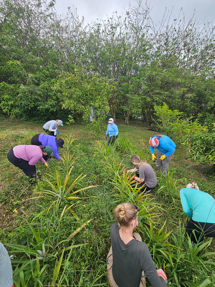 Alternative Spring Break students also worked on an agroecological farm project. (Submitted photo)