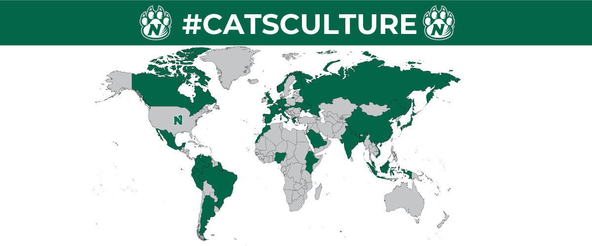 Cats Culture