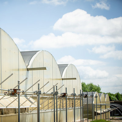 Horticulture Complex