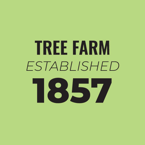 Tree Farm Established 1857