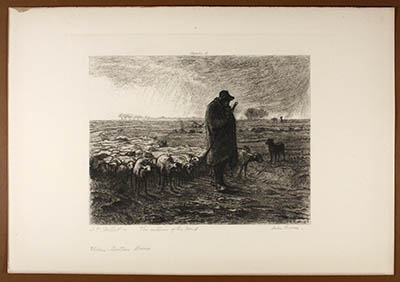 The Return of the Herd