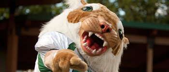 Bearcats