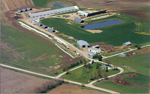 Farming and agriculture has always played an important role at Northwest.  The University Farm was established in 1905 and still plays an important role in Northwest's agricultural endeavors.  During the 1960s, Northwest's farm operations expanded to include a poultry plant, a hog operation, a dairy herd, a 500-acre farm, a beef herd and a small flock of sheep.