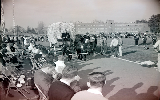 The Northwest 1962 Homecoming Queen arrives in a pomped, horse-drawn carriage for the start of the Homecoming Football Game.