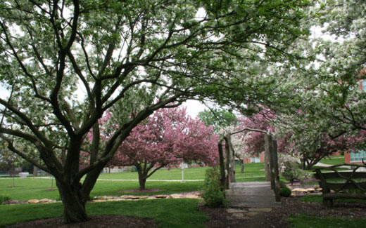 Three trails wind their way across campus giving students, faculty, staff and visitors eye-pleasing and peaceful views of colorful foliage.  The trails are: The Gaunt Trail, the Tower Trail and the Chatauqua Trail.