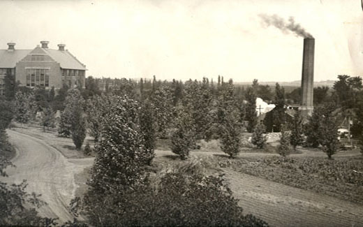 Brink's love of landscaping with trees resulted in a dense forest on practically all land that did not have buildings.  His handiwork quickly became known as Brink's Forest.