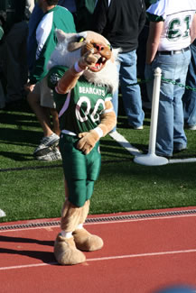 By the year 2000, Bobby Bearcat had evolved into a friendly, but fierce and muscular mascot wearing a full Northwest football uniform.  In fact, following the back-to-back Bearcat Football National Championship wins (1998-1999), Bobby was rarely seen out of a football uniform.  The picture shown is of a variation of the more athletic Bobby look, ca. 2007.