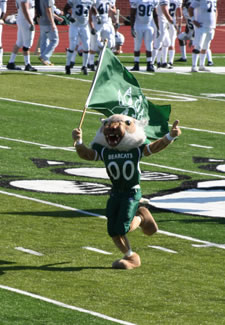 Bobby waves his official Bearcat flag during half-time at the 2007 Homecoming football game in Bearcat Stadium.