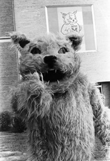 Bobby welcomes new students to Northwest outside the J.W. Jones Student Union.  Bobby's appearance was fuzzy and almost teddy-bear-like.