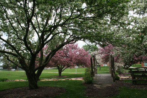 Man-made streams that drain into Colden Pond and a water feature with rustic pump and bucket were added to enhance the Kissing Bridge and its surroundings.