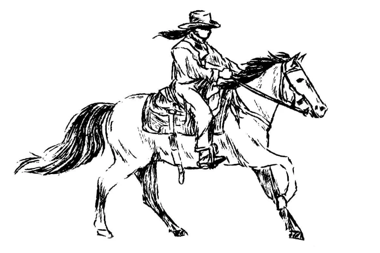 Northwest Horsemen’s Funshow