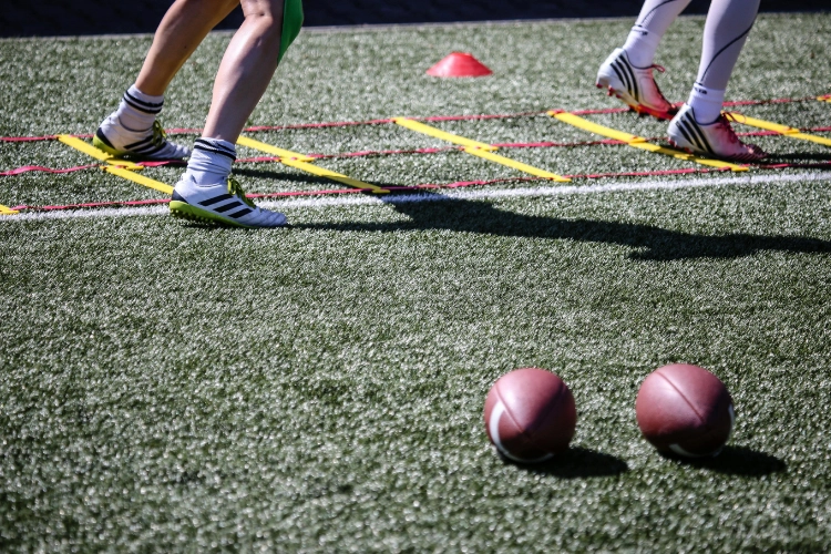 Cat Combine Prelims and Practice Day