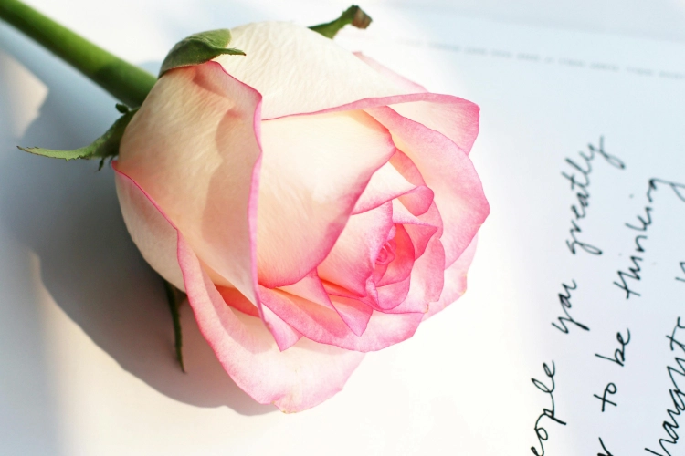 FlowerGram Ordering