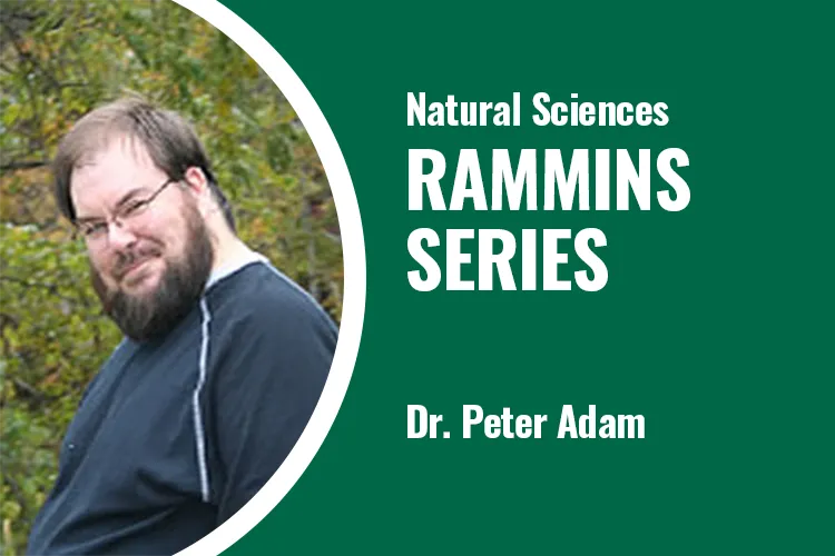 Research and Mentoring Meet In Natural Sciences (RAMMINS) Seminar Talk