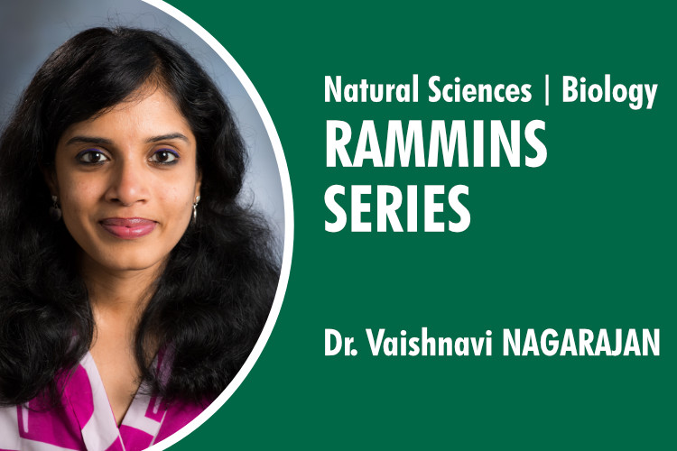 Research and Mentoring Meet In Natural Sciences (RAMMINS) Seminar Talk