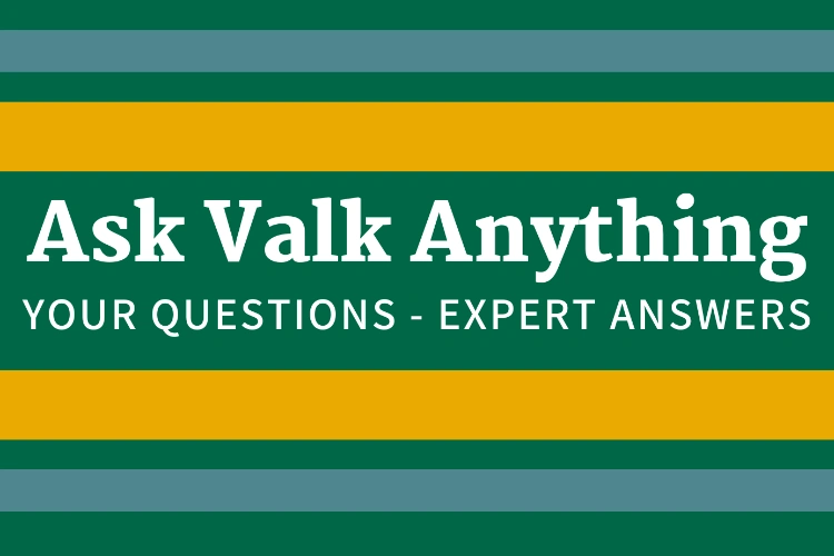 Ask Valk Anything: The (New) Gilded Age?