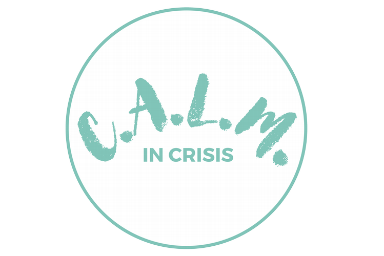 C.A.L.M. in Crisis Training for Students