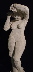 image 23
