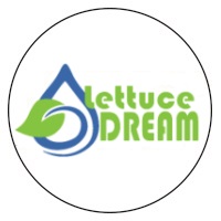 lettuce dream