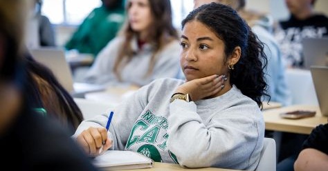 Stop the Stop-Out Endowed Scholarship Fund