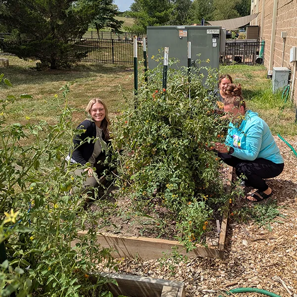 Alison Smith Alison Smith