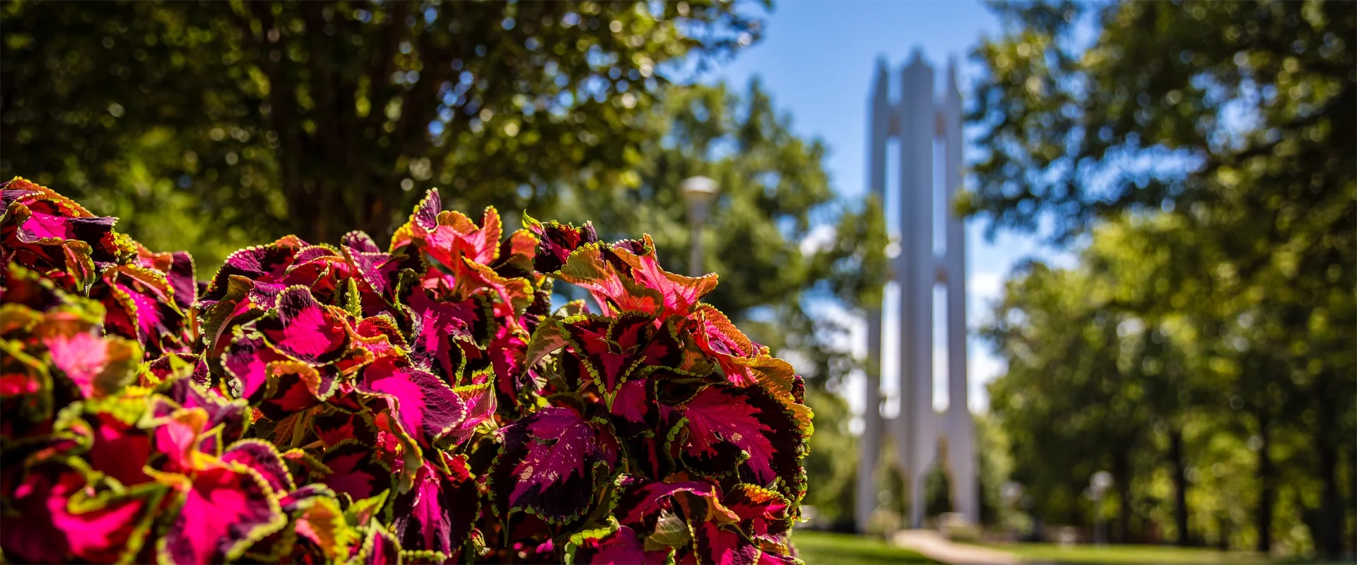 Transition to a bi-weekly pay