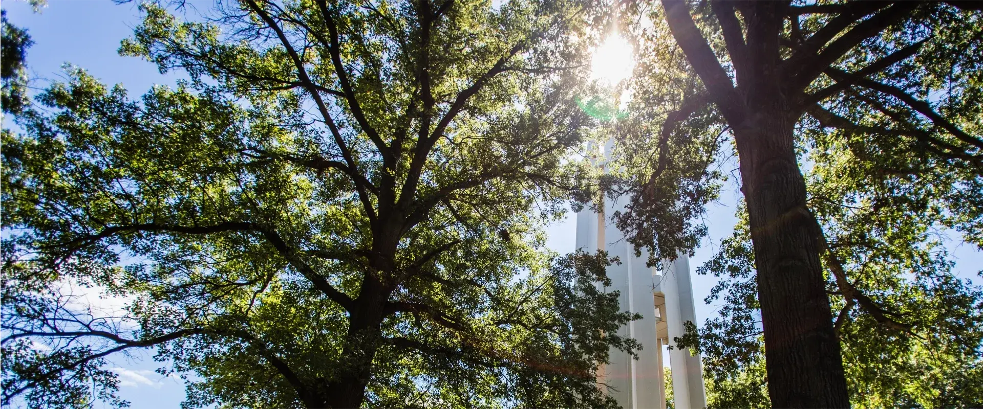 Project Scope and Timeline