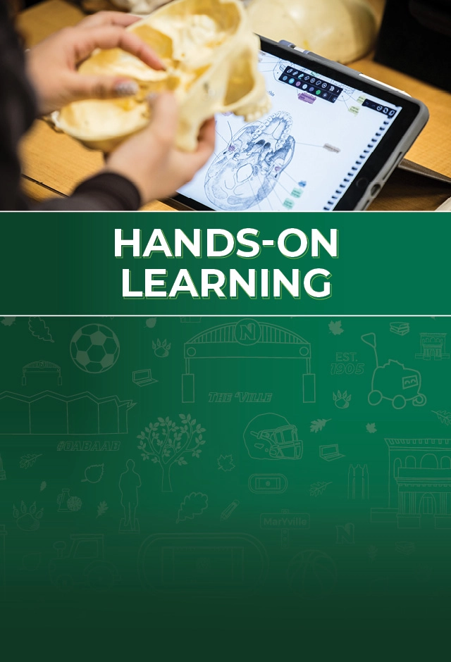 Hands-On Learning