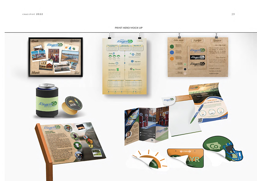 Portfolio items: print materials