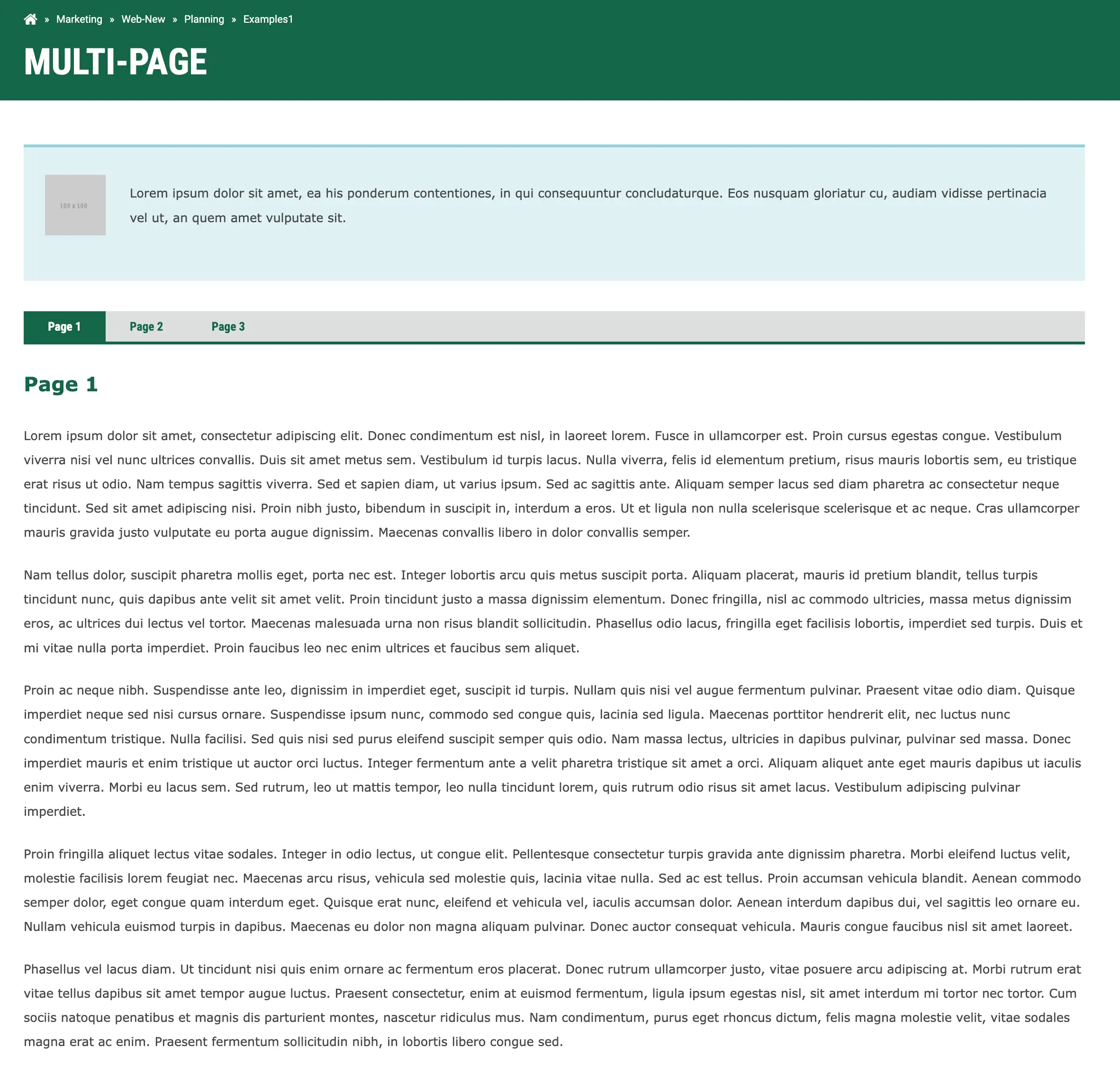 multi_page_template.webp