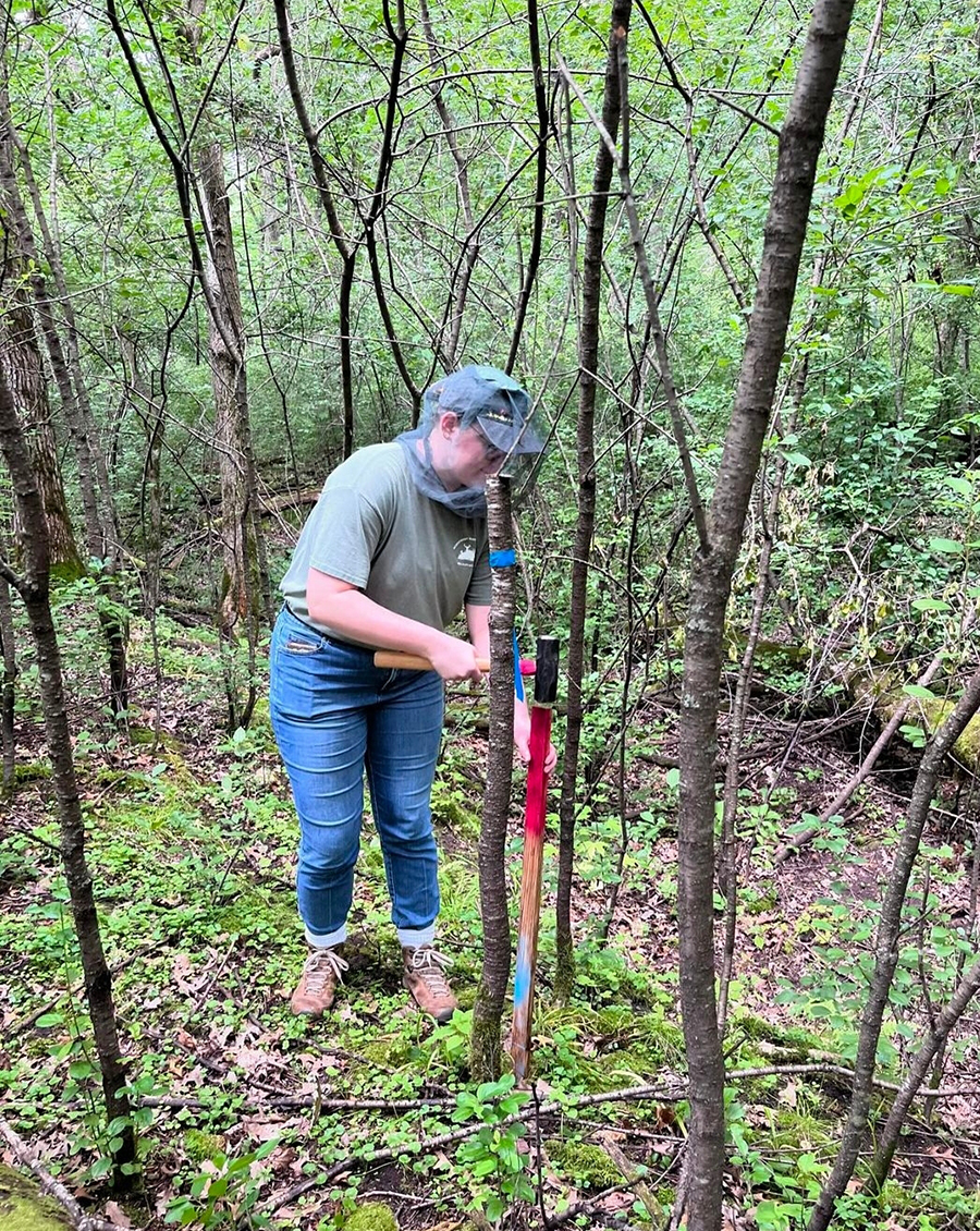 Brylee Yantz worked as a research intern with the University of Minnesota.