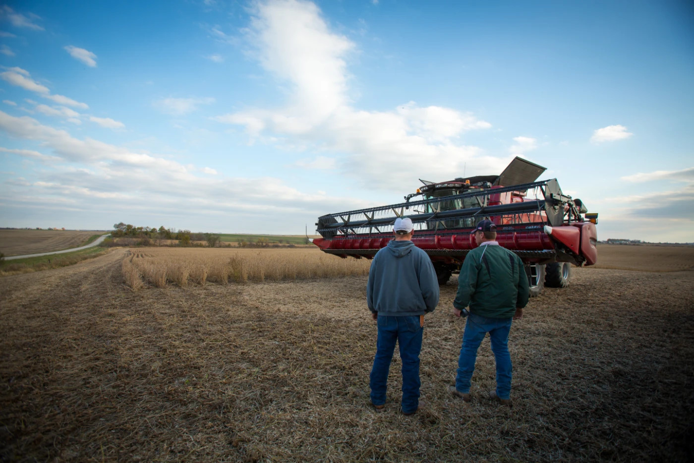 Two farmers stand in a field looking at a parked combine harvester during soy bean harvest 