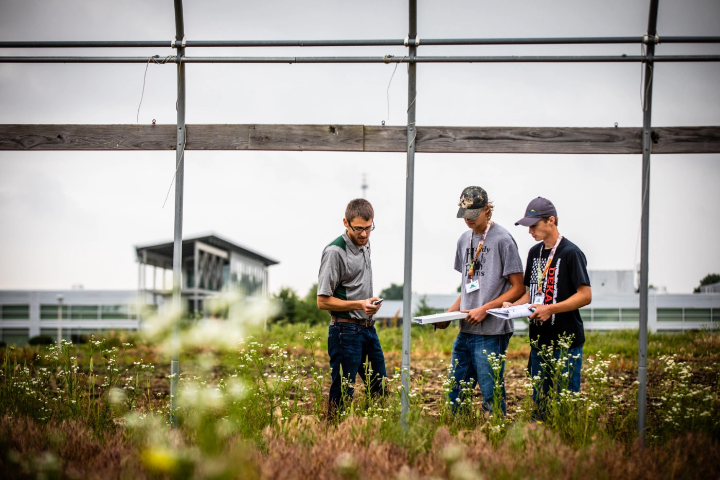 An agriculture instructor and two students stand in a field while discussing plant science and crop production topics