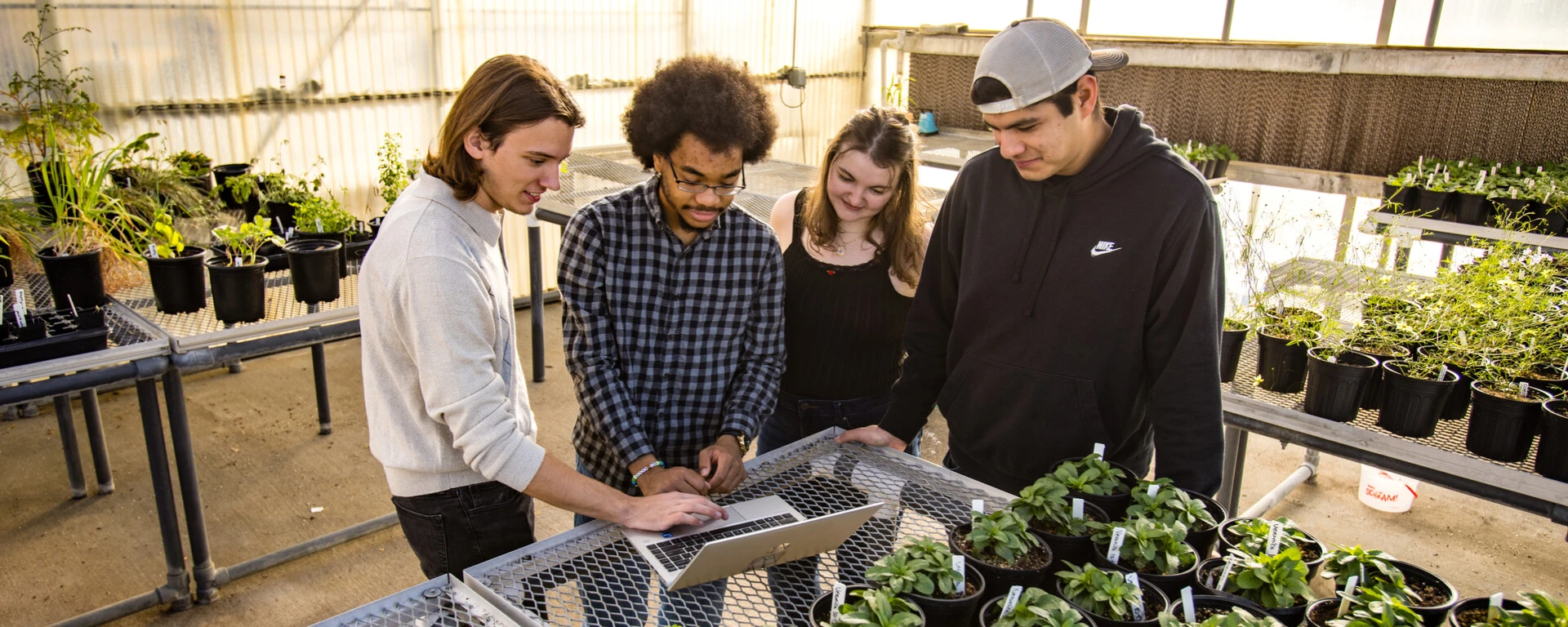 Four students stand in a greenhouse filled with potted plants as they develop prototypes to improve the greenhouse monitoring system during Internet of Things class