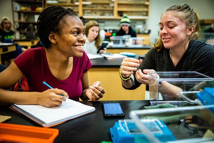 Students in a zoology lab spent Thursday conducting experiments they designed to observe the behaviors of fish, cockroaches, crickets and mice. (Northwest Missouri State University photos) 
