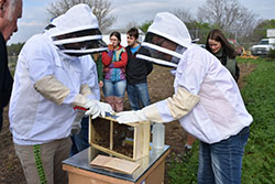 Members of the Northwest Bee Club introduced the bees to their new habitat April 22 as part of Earth Day activities on the campus.