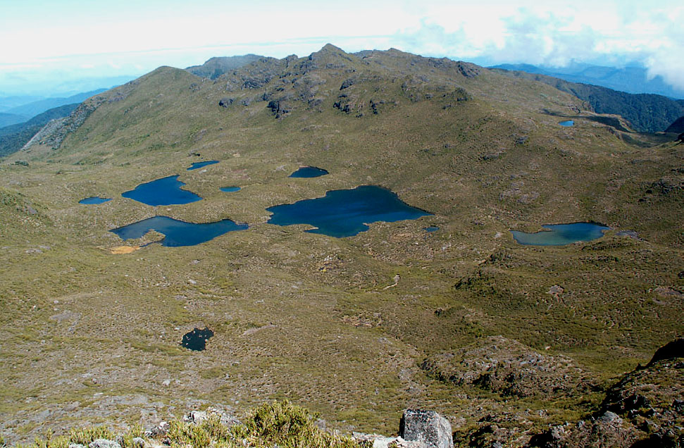 Haberyan and his research team found Aulacoseira umanai in the lakes of the Morrenas Valley in Costa Rica. (Submitted photo