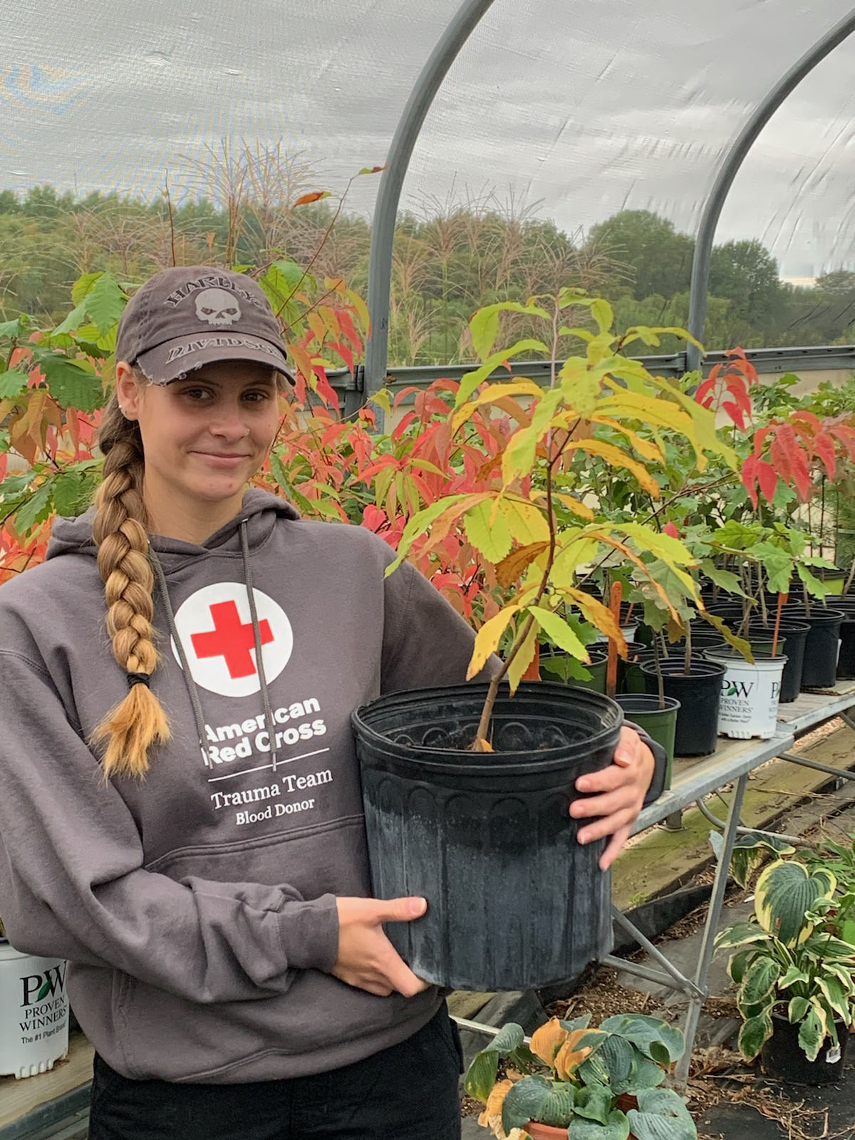 Laura Mott, a Northwest student employee working with the Missouri Arboretum, holds one of the Ozark chinquapin seedlings added to the campus landscape this year. (Submitted photo) 