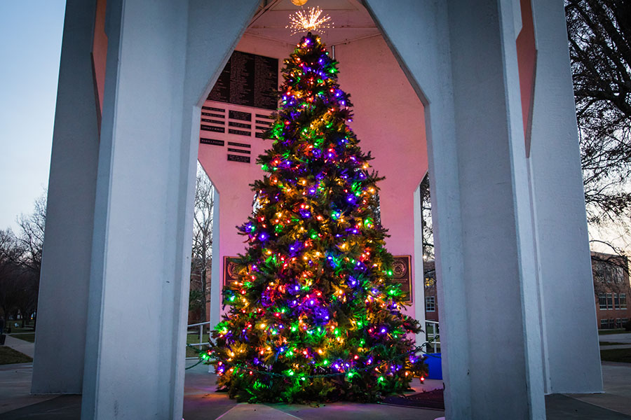 Holiday tree spreading cheer to campus; donations sought for food pantry