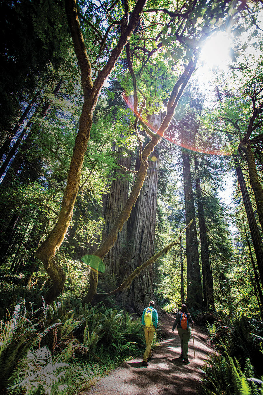 “I have seen some of the most amazing things that I couldn’t even imagine,” Brett Lang said of the experiences he and his wife, Marcy, share as park rangers with the National Park Service.