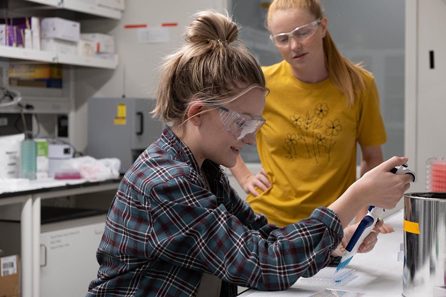 Caitlin McEntee's summer internship at the University of Kansas involved characterizing proteins to formulate a test method for future protein therapies.