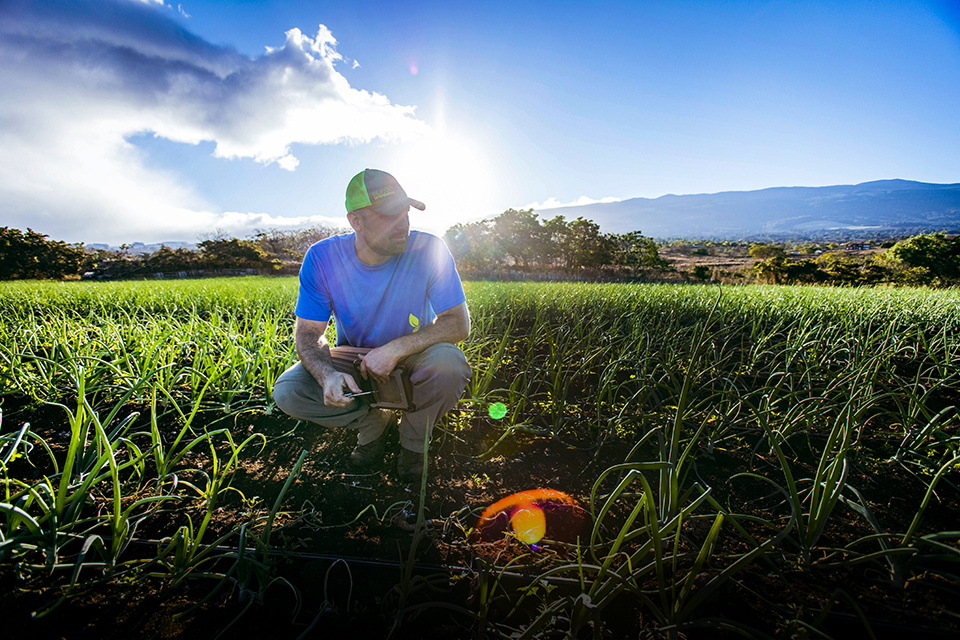 With precision: Shyloh Stafford-Jones has taken his agriculture knowledge to Hawaii