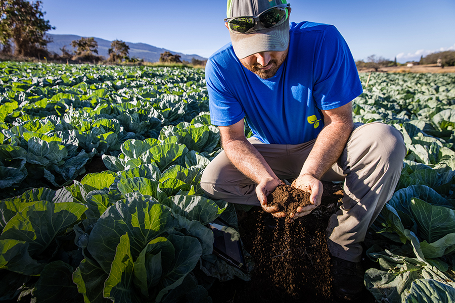 Shyloh-Jones is using agriculture techniques he learned in the Midwest to teach a different way of farming in Hawaii.